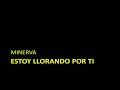 Minerva - Estoy llorando por ti Minerva - Estoy llorando por ti