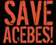 Save Acebes - El perquè de tot plegat
