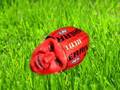 Sherrin's tips round 16 2008
