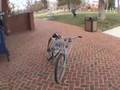 Hampden-Sydney Magic