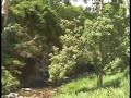 video ernesto leon un bodeguero en venezuela  choroni 