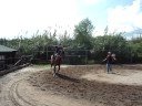 Equestrian Vaulting 5 Equestrian Vaulting 5