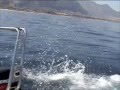 videos de Olimpiadi Tuffi 2007 e Sbarco Clandestini Palermo Sicilia