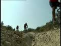 ACTIVIDADES EN LA NATURALEZA PARA EMPRESAS
