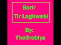 Barir Tir Laghwabi.wmv