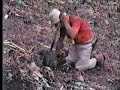 Papito Libardo