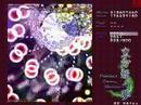 Touhou - Perfect Cherry Blossom (東方妖々夢) - Phantasm Clear 2/2 Touhou - Perfect Cherry Blossom (東方妖々夢) - Phantasm Clear 2/2