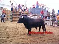 Especial Largadas de Toiros Benavente 2007