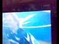 Steve Hofmeyr sings Liefling! (Bulls vs Crusaders Semi)