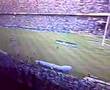 Steve Hofmeyr sings Liefling! (Bulls vs Crusaders Semi)