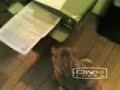 Cat vs printer Cat vs printer