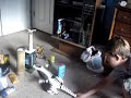 Attack of the RoboReptile