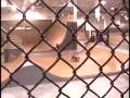 videos de me and connor 11years old at the x-games skatepark