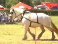 trekkracht in Alden Biesen 2006