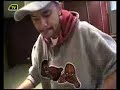 DJ Craze Scratch Routine