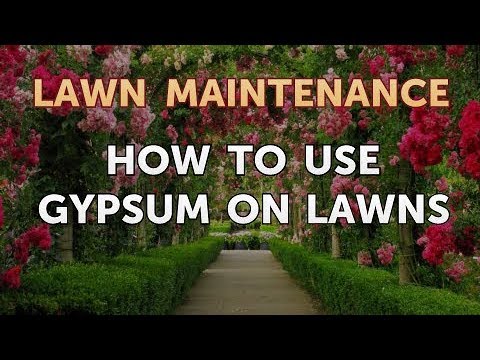 video-linktoworks-How to Use Gypsum on Lawns