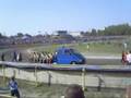 kmo ostrow