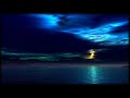 Allaby - Aurorae