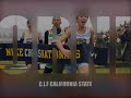 C.I.F State Chamipion 2009.mov