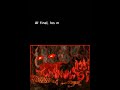 the legend of zelda spirit tracks parte 1.mp4