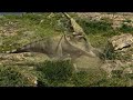 Utahraptor Utahraptor