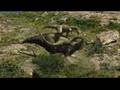 Utahraptor