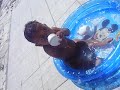 otavio