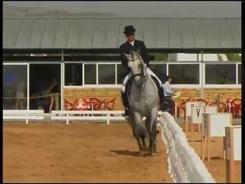 Victor Alvarez montando a Cava Iles ...