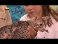 Meulicats Chiara ontmoet Martin Gaus bij K3