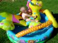 videos de Tyler in mini pool on dragon