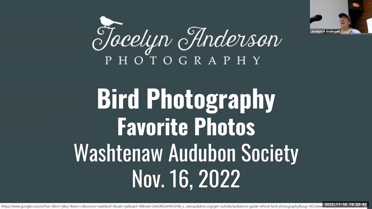 Wildlife Photography with Jocelyn Anderson