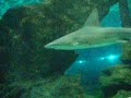 aCqUaRiUm De BaR�ElOnA!!!!!