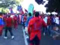 videos de HIJOS DE LA MERMELA KARNAVAL