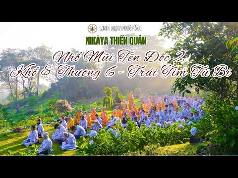 NIKAYA Thiền Quán - Nhổ Mũi Tên Độc 2 - Khổ & Thương 6 - Trái Tim Từ Bi **