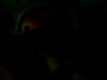 videos de Richie ya son las 8