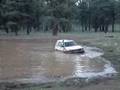toyota tercel pond