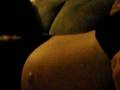 videos de Nine months pregnant