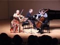 Archduke Jess-Trio-Wien