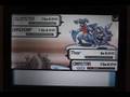 Pokemon Wi-fi Match 27 - Gigatitan vs. Uutton!