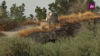 معسكر الجيش العربي - اللطرون - فلسطين - حلوة يا دنيا