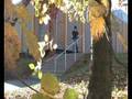 videos de BMX