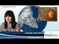 Canada work permit
