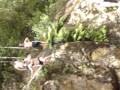videos de taylors pond 08