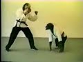 FUUNY VIDEO