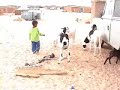Niños saharauis jugando Niños saharauis jugando