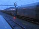 Belgian 7700s in \