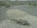 videos de Istina-Truth (English subtitles) Pt. 5 of 8