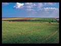 Thuis in Friesland
