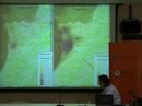 Seawater Intrusion in Greater Beirut - Mark Saadeh