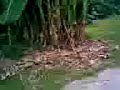 jln2 REMPIT bgn DATOH..